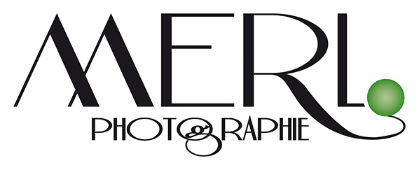 Logo photographe Damien Merle - Merlsco